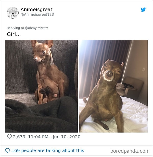 20. Эта поза.. Это лицо..