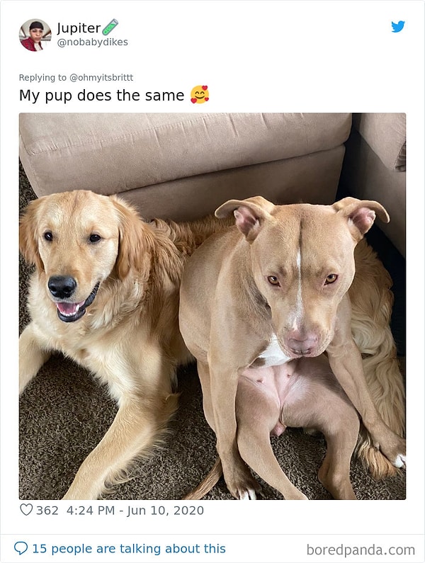 21. Ему так удобно