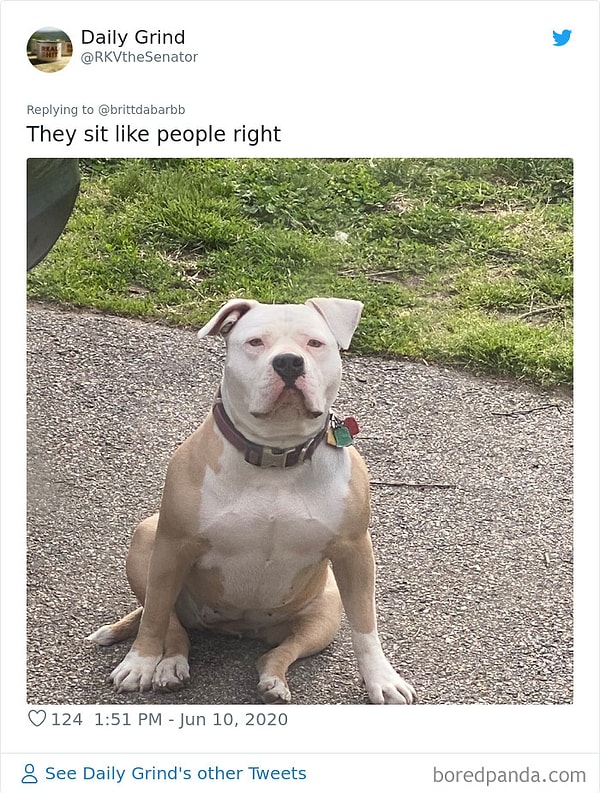 25. Сидит совсем как человек