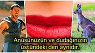Şimdiye Kadar Hiçbir Yerde Öğrenmediğinizi İddia Ettiğimiz Her Biri Birbirinden Şaşırtıcı 15 Gerçek