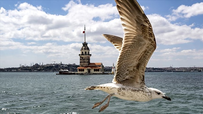 Normalleşmemiz Doğaya Yaramadı: Haziran Ayında İstanbul'da Hava Kirliliği Yüzde 38 Arttı