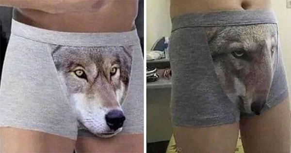 2. Спасибо, теперь я ненавижу волков