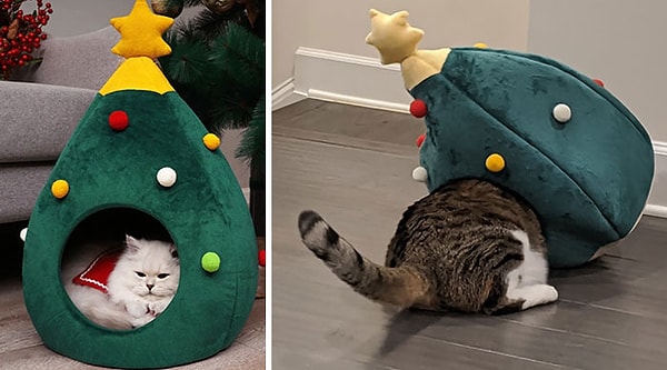 12. Зная, что мой котик крупный, я заказала самый большой размер домика для животных