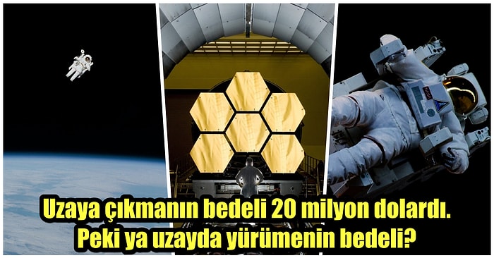 Sonunda Gerçek Oluyor! Servetlerindeki Sıfırlarını Saymaya Matematiğimizin Yetmeyeceği İnsanlar 2023 Yılında Ayda Dolaşabilecekler