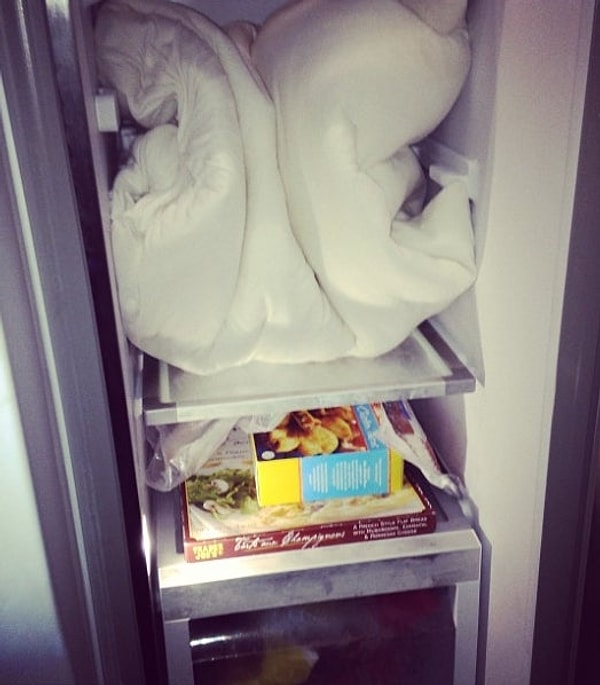12. "Поскольку ночью невероятно жарко, я держу свое одеяло в холодильнике перед тем как ложиться спать."