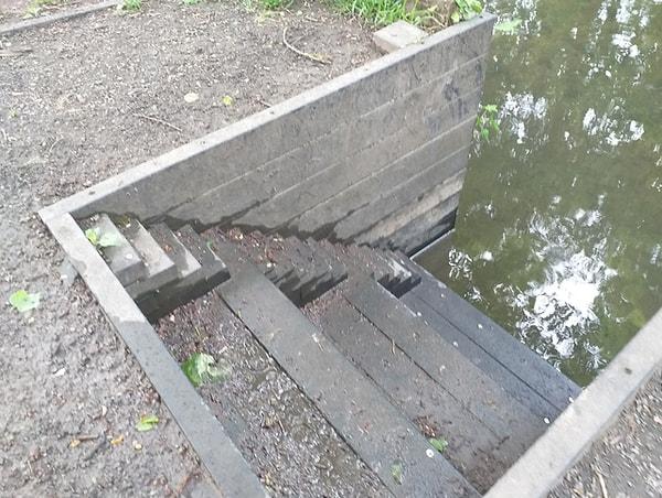 2. "Ördeklerin de sudan çıkarken merdivene ihtiyaç duyacağı düşünülmüş olmalı!" 😅