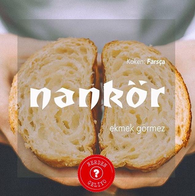 8. Nankör