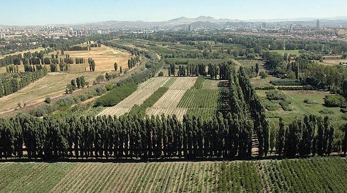 Milli Savunma Bakanlığı’na Kiralandı: Atatürk Orman Çiftliği'nde 250 Bin Metrekarelik Alan Yapılaşmaya Açılıyor