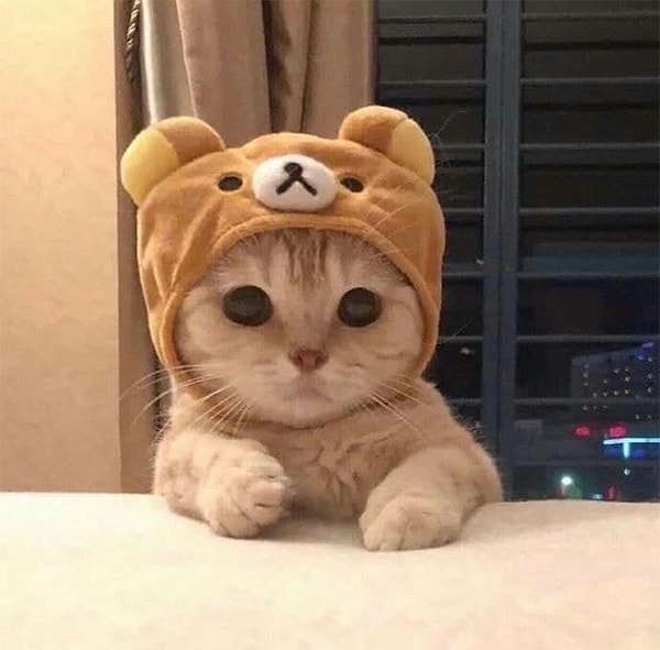 4. Уэс Андерсон