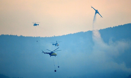 Bakan Pakdemirli: 'Tarihi Gelibolu Yarımadası'ndaki Orman Yangını Kontrol Altına Alındı'