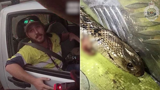 Polis, arabanın içindeki ölü yılanı gördükten sonra adama ceza kesmekten vazgeçti. Polis kamerasından çekilen görüntülerde Jimmy’nin, “Sanırım beni ısırdı. Benimle arabadaydı. Kalbimin nasıl attığına bakabilirsiniz” dediği duyuldu.