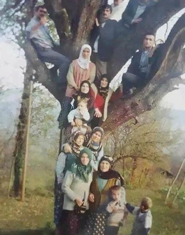 16. Soy ağacı. :)