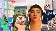 Görünce Kesinlikle Takip Etmek İsteyeceğiniz Instagram'ın En Sıra Dışı 15 Fenomeni