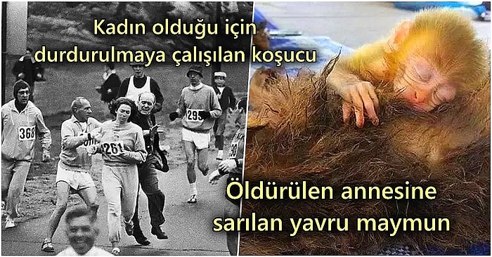 İlk Bakışta Oldukça Normal Görünen Fakat Hikayelerini Öğrenince Kanınızı Donduracak 16 Yeni Fotoğraf