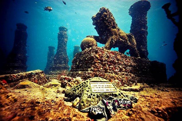 6. Neptün Anıtı Resifi, Florida-ABD