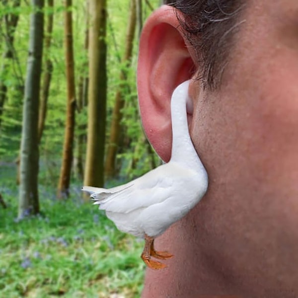 18. Хорошая агусьтика