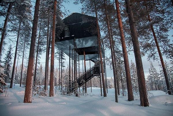 6. İsveç'te bir otelin tüm odaları ağaçlarda bulunur.