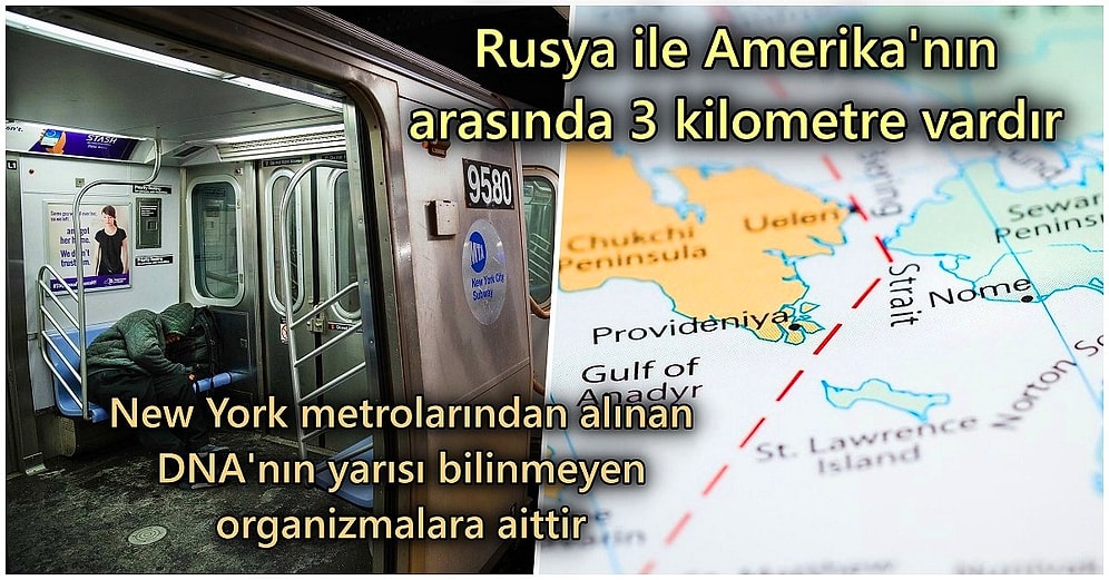 Acayip Bilgiler Kuşağı: Öğrenmeniz Durumunda Hayatınızda Hiçbir Şeyi Değiştirmeyecek 15 İlginç Gerçek