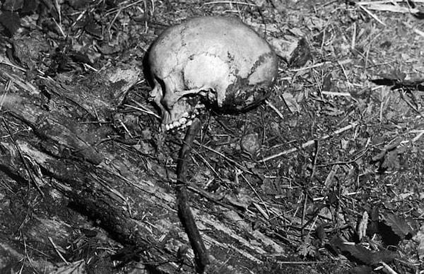 Washington, Issaquah yakınlarında iki avcı tarafından bulunan Ted Bundy'nin 9. kurbanı Denise Naslund'un kafatası.
