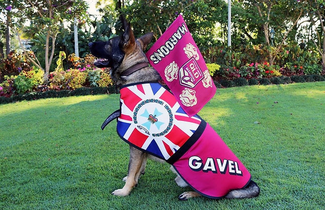 1. Gavel - Queensland Valiliği karşılama komitesi müdürü