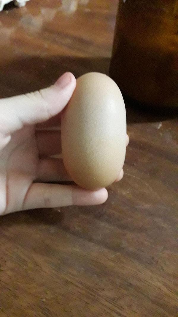 11. Bi' tuhaf uzunluktaki bu yumurta: