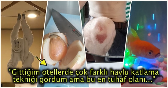 Hep Aynı Şeyleri Görmekten Sıkılanları İlginçliğe Doyuracak Birbirinden Acayip 19 Yeni Görsel