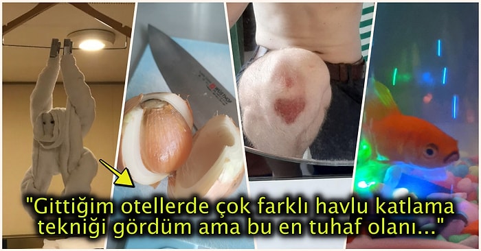 Hep Aynı Şeyleri Görmekten Sıkılanları İlginçliğe Doyuracak Birbirinden Acayip 19 Yeni Görsel