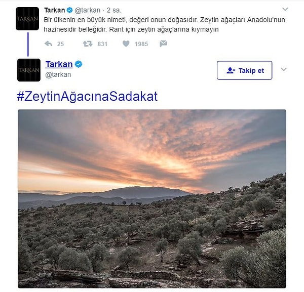 "Zeytin ağaçlarına kıymayın."