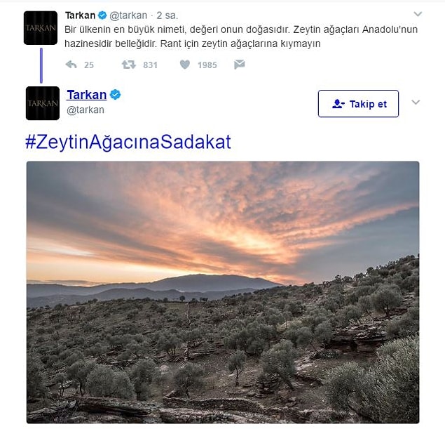 "Zeytin ağaçlarına kıymayın."