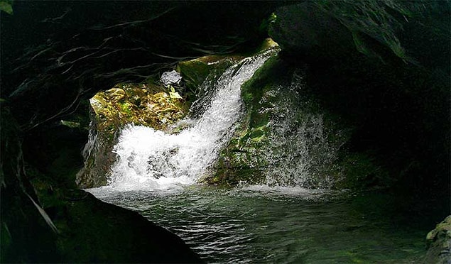 14. Robber's, Hindistan