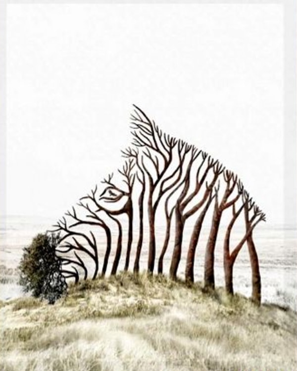 На что вы обратили внимание?