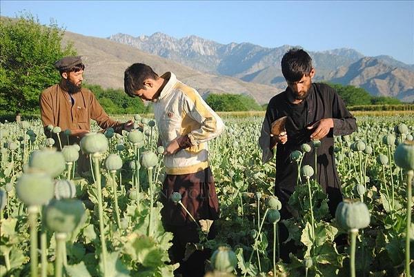 8. Dünyada En Çok Afyon Üreten Ülke: Afganistan