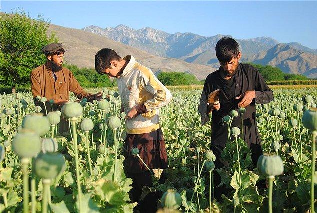 10. Dünyada En Çok Afyon Üreten Ülke: Afganistan