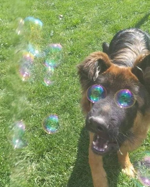 Когда счастья полные штаны. :)