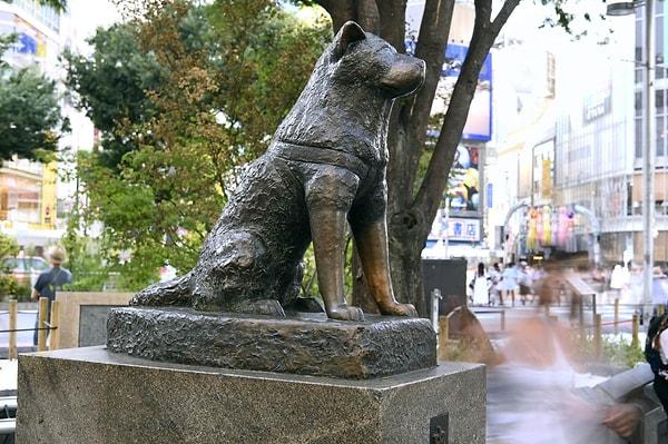 8. Haçiko-Japonya'nın sadık köpeği