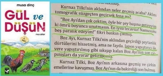 Yazarı Musa Dinç Özür Diledi: Tecavüz Hikayesi İçeren Çocuk Kitabı 'Gül ve Düşün' Sosyal Medyanın Gündeminde