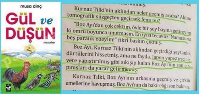 Yazarı Musa Dinç Özür Diledi: Tecavüz Hikayesi İçeren Çocuk Kitabı 'Gül ve Düşün' Sosyal Medyanın Gündeminde