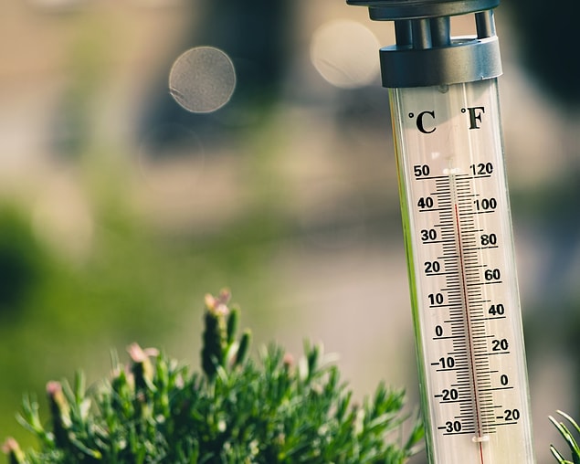 7. "Fahrenhayt kullanıyor olmaları. Dünyanın büyük bir çoğunluğu santigrat kullanırken onların fahrenhayt kullanması çok tuhaf."