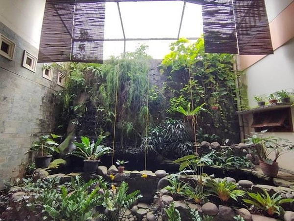 Хорошо, когда у тебя дома есть небольшие джунгли