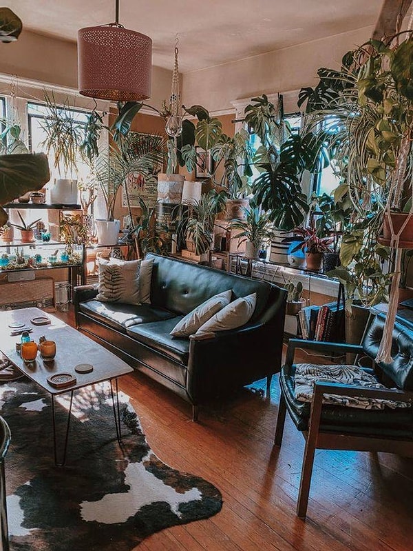 «Мне кажется, моя гостиная живая»