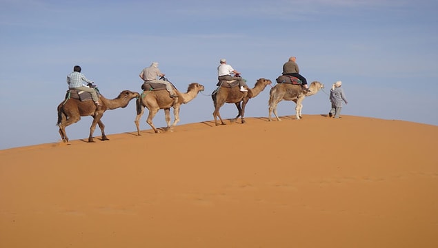 11. 2013 yılında, Mali'yi özgürleştirmek için Fransa'ya hediye edilen deve, Timbuktu'da bir ailenin bakımına verildiğinde öldürülüp güveçte yenerek talihsiz bir sonla karşılaştı.