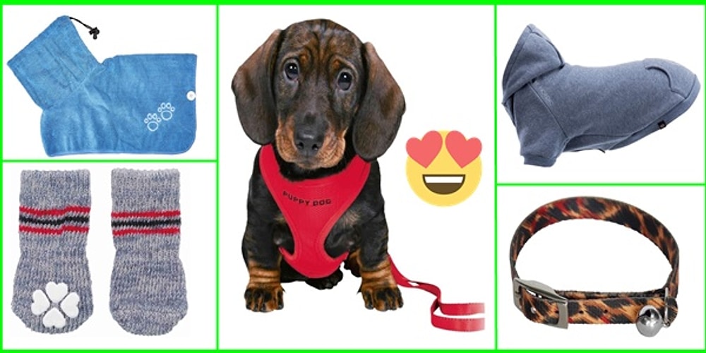 Evcil Hayvanlarınızın Tarzına Tarz Katacak 2020 Trendi 19 Tasma ve Kıyafet