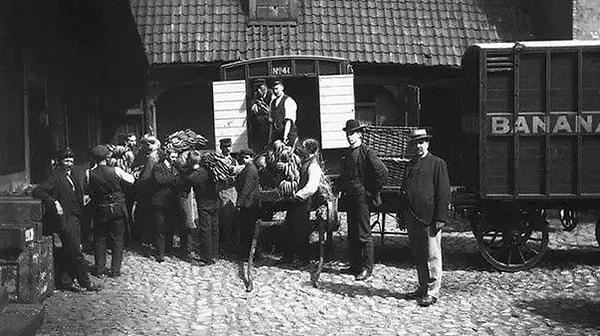 15. Norveç'e ilk kez muz geliyor, 1905.