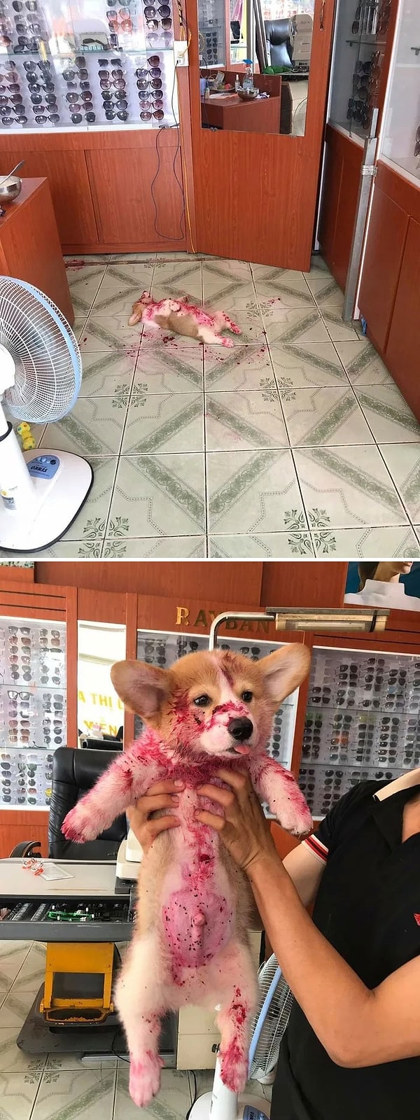 3. Просто вздремнул после того, как скушал всю банку варенья