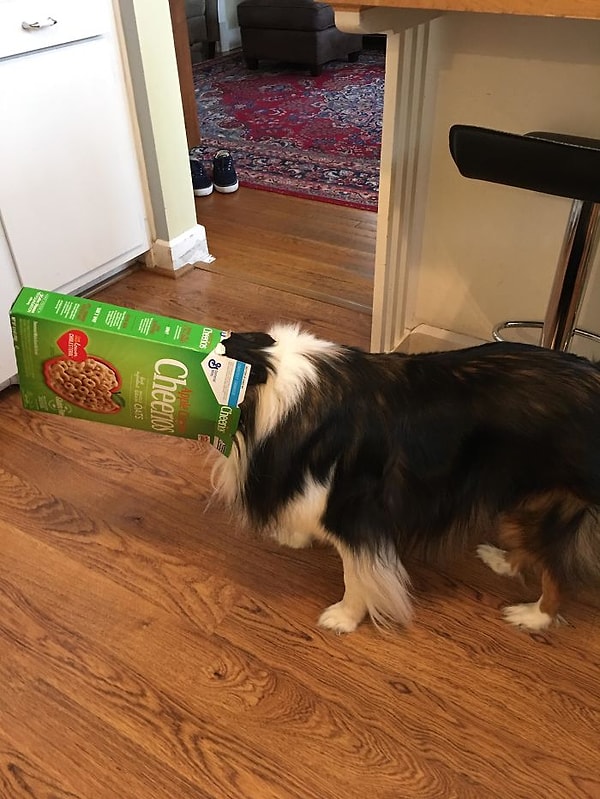 16. Арестован стоял молча