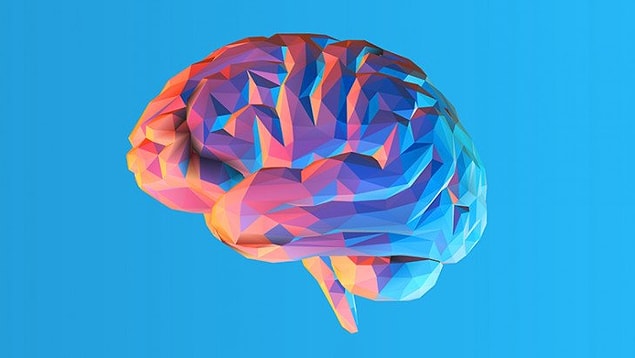 E tabii belki kızacaksınız ama IQ'su düşük olan bireylerin de üremesinin önüne geçilmeli. Beyni ayarında işleyen sağlıklı bireylerin çoğalması daha iyi olmaz mı?