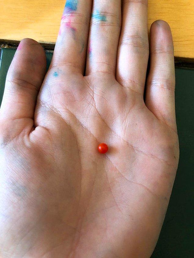 18. "Bahçemdeki en küçük domates."