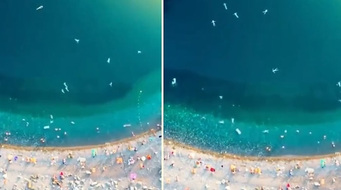 Belki de Dünya'nın Bakterileriyizdir: Bir Fotoğrafçının Denize Giren İnsanları Kaydettiği 'Bakteri Benzeri' Görüntüler