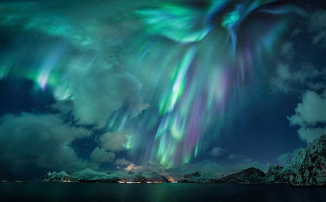 1. 'The Green Lady' - Nicholas Roemmelt