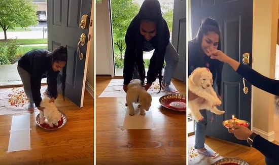 Eve Yeni Gelen Yavru Köpeği Geleneksel Yöntemlerle Karşılayan Hint Aile